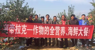 蘋果樹12月管理技術要點！抓緊時間看